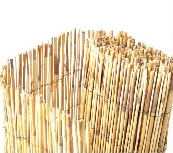 Καλαμωτή 1.5x5